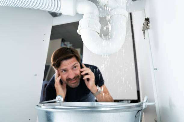 Best Plumbing Services Near Me  in Villa Ridge, MO