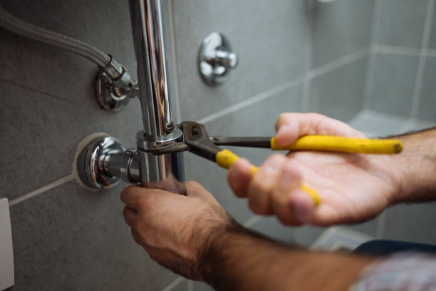 Best Plumbing Inspection Services  in Villa Ridge, MO